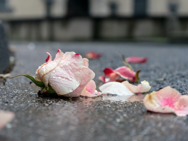 De sterfdag van mijn vrouw bloem